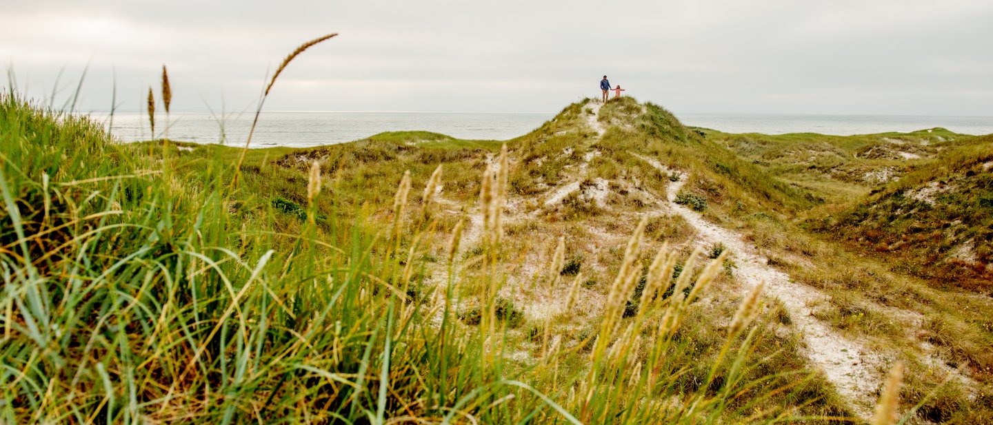 Bästa Naturupplevelserna I Danmark